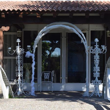 Hotel Las Casitas Del Jardin Tudela de Duero Luaran gambar